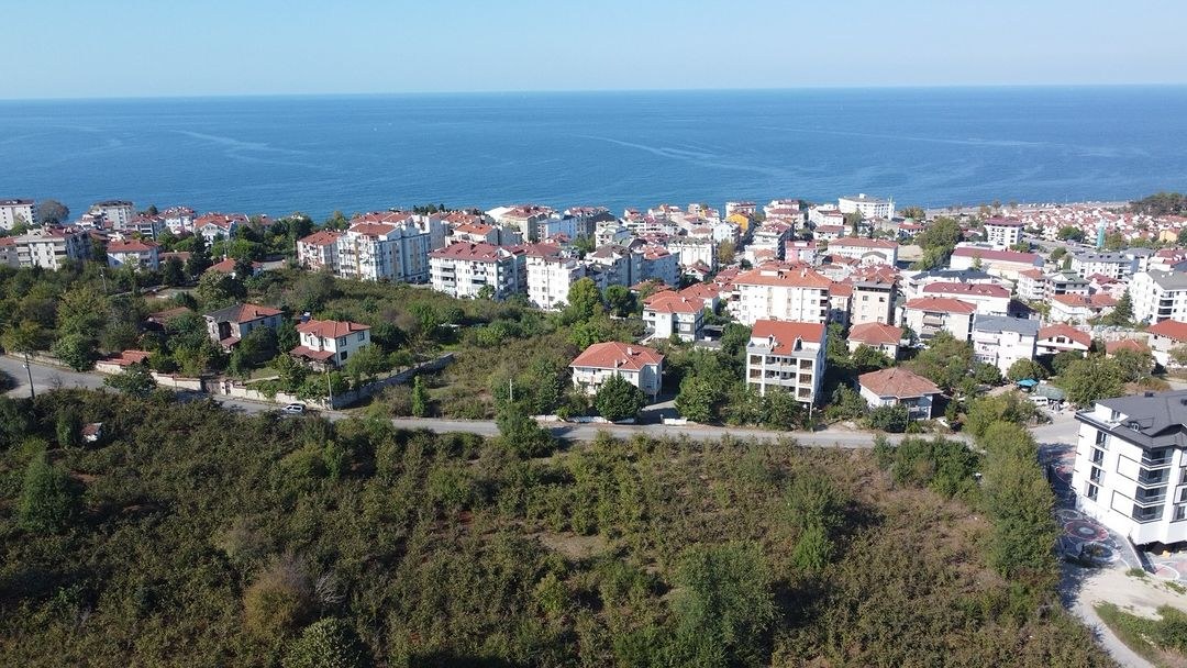 Denizin Mavisi Doğanın Yeşili